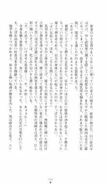 式神戦巫女水輝 呪淫の生贄, 日本語