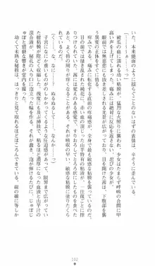 式神戦巫女水輝 呪淫の生贄, 日本語