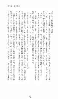 式神戦巫女水輝 呪淫の生贄, 日本語