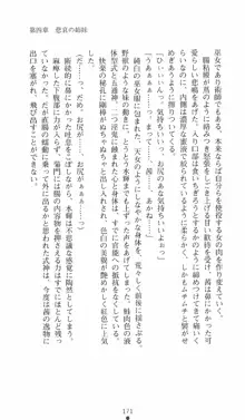 式神戦巫女水輝 呪淫の生贄, 日本語