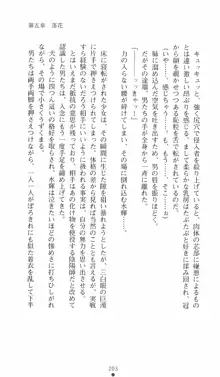 式神戦巫女水輝 呪淫の生贄, 日本語