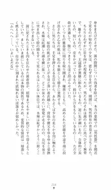 式神戦巫女水輝 呪淫の生贄, 日本語