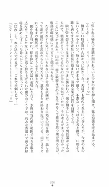 式神戦巫女水輝 呪淫の生贄, 日本語