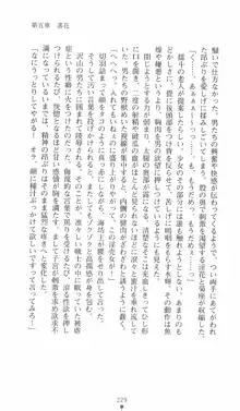 式神戦巫女水輝 呪淫の生贄, 日本語