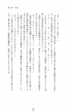 式神戦巫女水輝 呪淫の生贄, 日本語