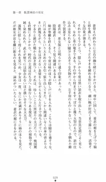 式神戦巫女水輝 呪淫の生贄, 日本語