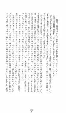 式神戦巫女水輝 呪淫の生贄, 日本語