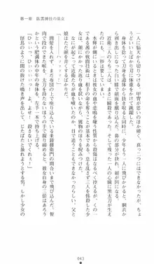 式神戦巫女水輝 呪淫の生贄, 日本語