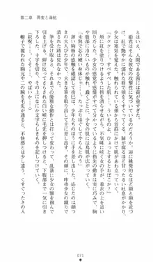 式神戦巫女水輝 呪淫の生贄, 日本語