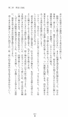 式神戦巫女水輝 呪淫の生贄, 日本語