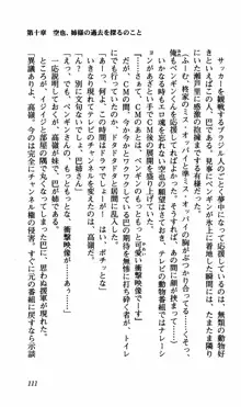 姉、ちゃんとしようよっ！下巻 奮闘編, 日本語