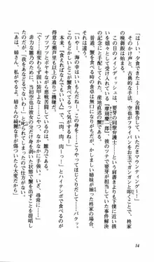 姉、ちゃんとしようよっ！下巻 奮闘編, 日本語