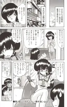 少女探偵麗美, 日本語