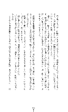 武闘巫女伝サツキ, 日本語