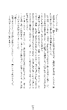 武闘巫女伝サツキ, 日本語