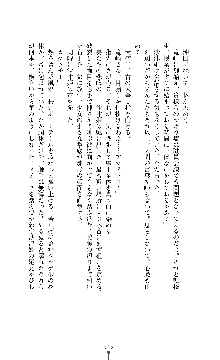 武闘巫女伝サツキ, 日本語