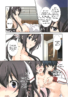 Burst Up！Infinite Stratos FAN BOOK, English