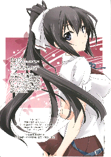 Burst Up！Infinite Stratos FAN BOOK, English