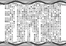 S嬢様に変える監獄実験, 日本語