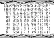 S嬢様に変える監獄実験, 日本語