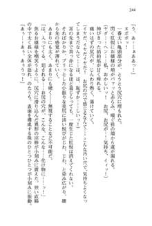 仙獄学艶戦姫ノブナガッ! 参 信玄、出陣!, 日本語