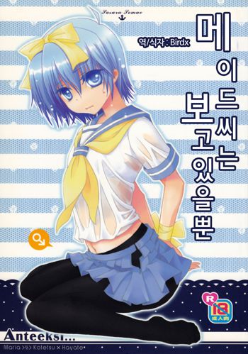 Maid-San wa miteru dake! | 메이드씨는 보고 있을뿐, 한국어