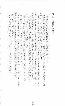 ミルキーツインズ ママは戦うメイドさん, 日本語