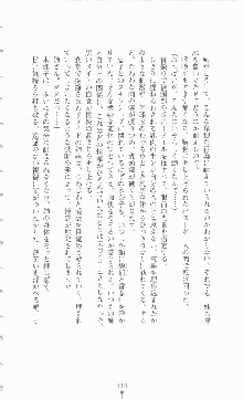 ミルキーツインズ ママは戦うメイドさん, 日本語