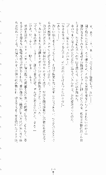 ミルキーツインズ ママは戦うメイドさん, 日本語