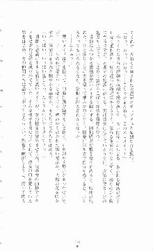 ミルキーツインズ ママは戦うメイドさん, 日本語