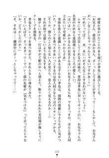 いもうとエロゲー 義妹と実妹も攻略可能？, 日本語