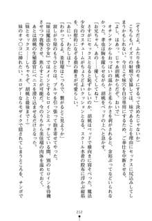 いもうとエロゲー 義妹と実妹も攻略可能？, 日本語