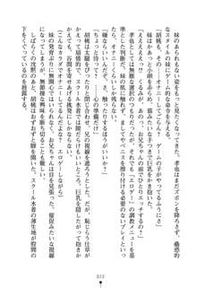 いもうとエロゲー 義妹と実妹も攻略可能？, 日本語