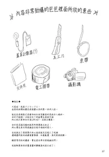 Geiger Counter, 中文