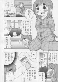 じゅうしょくしどう, 日本語