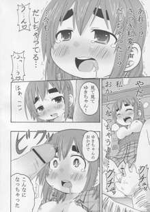 じゅうしょくしどう, 日本語