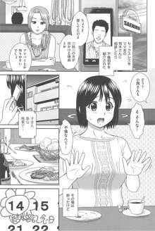 こんなコにしたのお兄ちゃんでしょ！！, 日本語