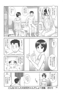 こんなコにしたのお兄ちゃんでしょ！！, 日本語