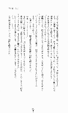 ギルティートレインⅣ 痴漢囮捜査官 相沢奈津樹, 日本語