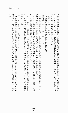 ギルティートレインⅣ 痴漢囮捜査官 相沢奈津樹, 日本語