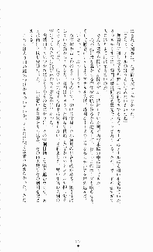 ギルティートレインⅣ 痴漢囮捜査官 相沢奈津樹, 日本語