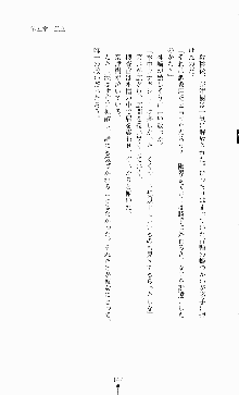 ギルティートレインⅣ 痴漢囮捜査官 相沢奈津樹, 日本語