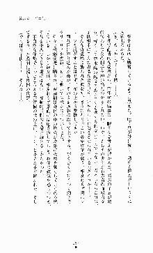 ギルティートレインⅣ 痴漢囮捜査官 相沢奈津樹, 日本語