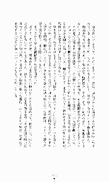 ギルティートレインⅣ 痴漢囮捜査官 相沢奈津樹, 日本語