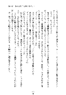 誘惑プリンセスはおキライですか？, 日本語