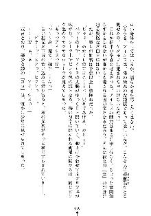 誘惑プリンセスはおキライですか？, 日本語