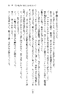 誘惑プリンセスはおキライですか？, 日本語