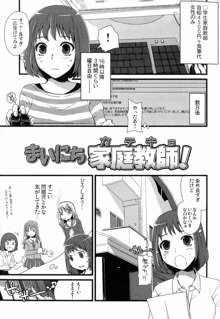 ふたなりっ娘発情ファイル, 日本語