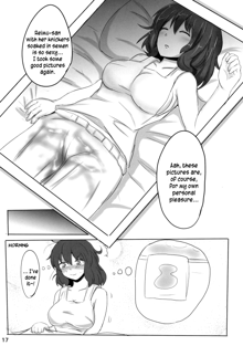 The Record of Reimu-san's Secret Photo-Shoot, English