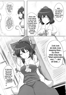 The Record of Reimu-san's Secret Photo-Shoot, English